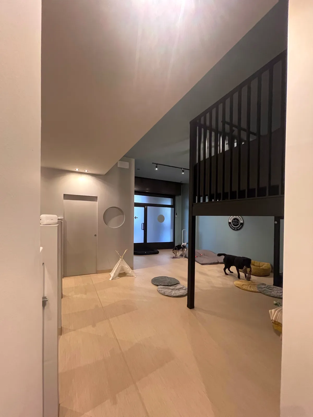 Struttura House of Dogs