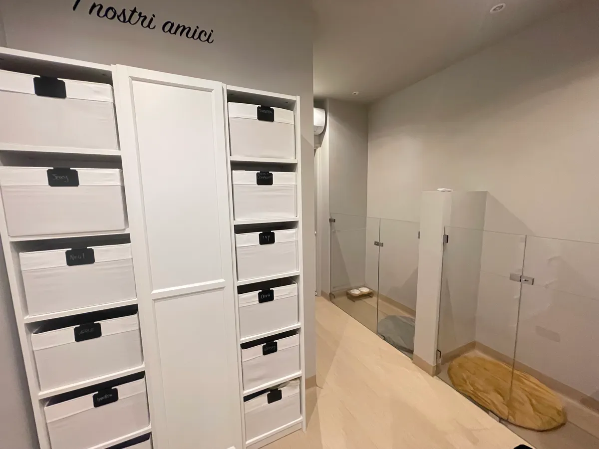 Area gioco House of Dogs