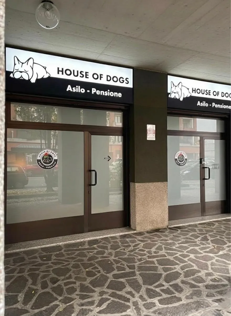 Location House of Dogs